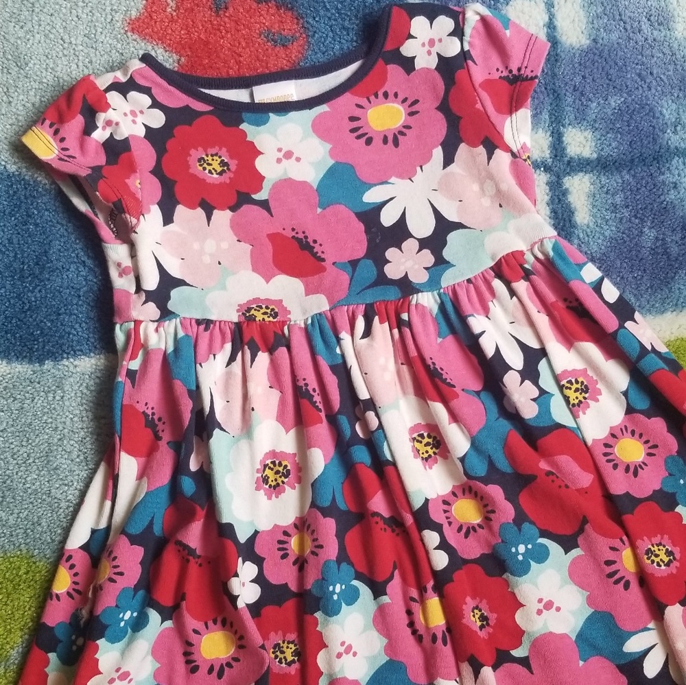 Gymboree 2T Floral Dress